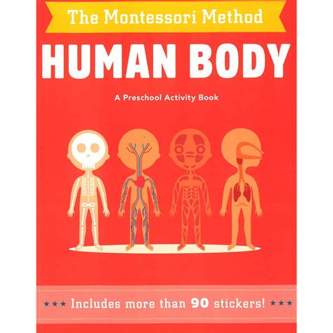 BBW The Montessori Method Human Body ISBN 9788854413672 Shopee