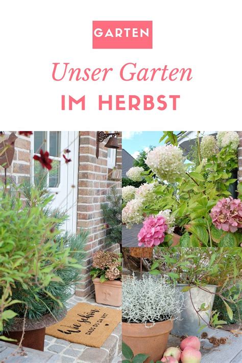 Werbung Den Garten fit für den Frühling machen 10 Schritte zum