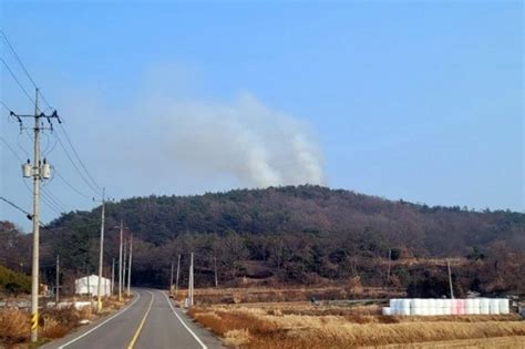 전남 고흥 야산서 불 인명피해 없어 네이트 뉴스