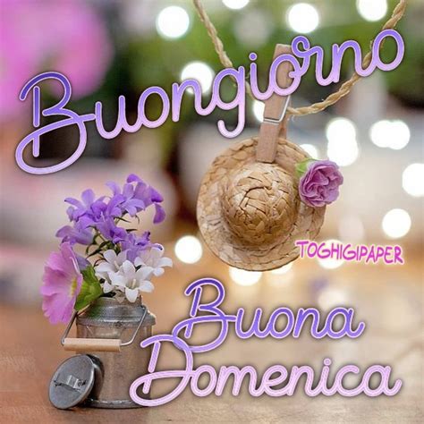 Buona Domenica 17 Settembre 2023 Frasi Immagini Nuove Del Buongiorno