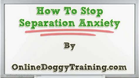 How To Stop Separation Anxiety Tips Ppt