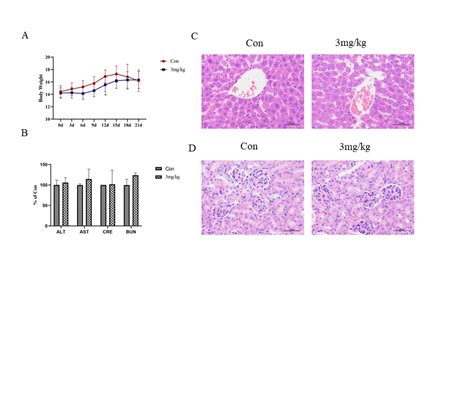 Ivermectin Inhibits Canine Mammary Tumor Growth By Regulating Cell