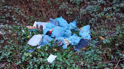 Illegale M Llentsorgung Im Wald In Rheinland Pfalz Swr Aktuell