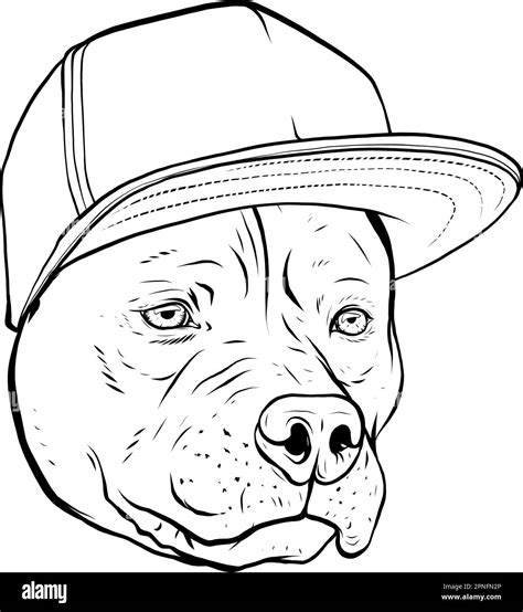 Pitbull Head In Black And White Color Style Vector Illustration