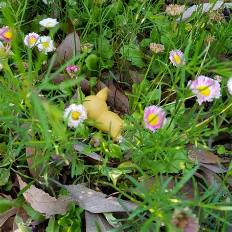 printable cogi panggi  gregorykbyun