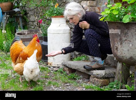 Eisender Hahn Stockfotos Und Bilder Kaufen Alamy