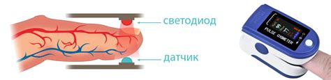 Вариант БИ2310304