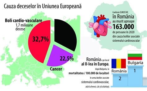 Newspascani Pa Cani T Rgu Frumos Ia I Nici Cancerul Nu Omoar