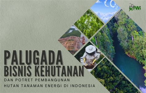 Multiusaha Kehutanan Dan Potret Pembangunan Hutan Tanaman Energi Di Indonesia Perpustakaan Fwi