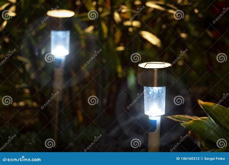 Night garden lights stock photo. Image of bright, night - 146160312