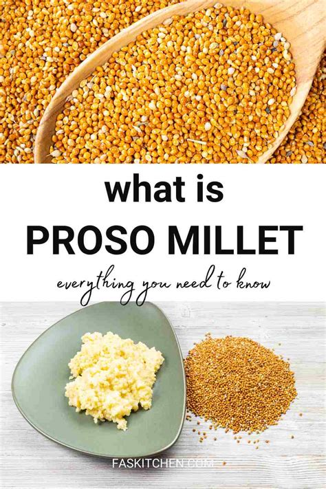 Proso Millet Nutrition Benefits How To Use Buy Store Proso