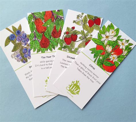 Fruit Haiku Bookmarks Pack Four Bookmarks For Reading And T Giving