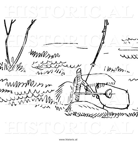 Illustration of a Rabbit Snare Trap - Black and White by Al - #9190