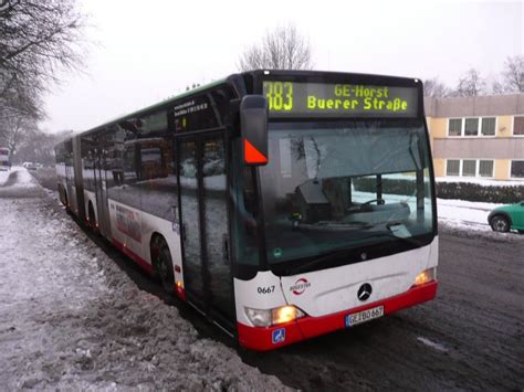 Mb Citaro Der Bogestra Nr Bus Bild De