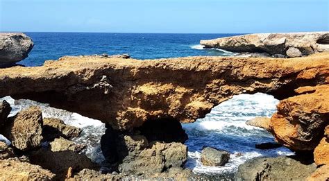 Aruba Cruise Port Guide Highlights And Best Shore Excursions