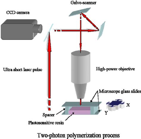 The Principle Of Two Photon Polymerization Process Overlap Of Photons Download Scientific