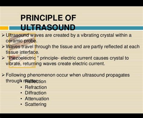 Solution Principles Of Ultrasound Studypool