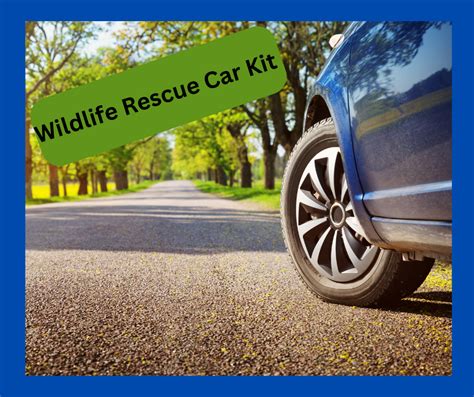 Make A Wildlife Rescue Car Kit — Fox Run Environmental Education Center