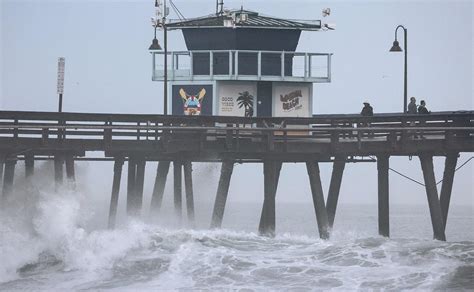 Florida Reporta Cinco Muertes Por Bacteria Que Come Carne En Las Playas