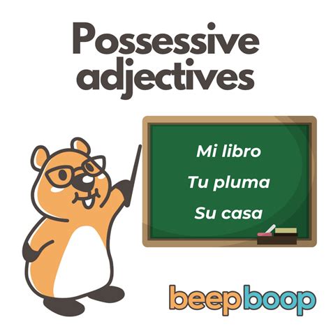 Possessive Adjectives In Spanish Understanding Ownership Grammar And More