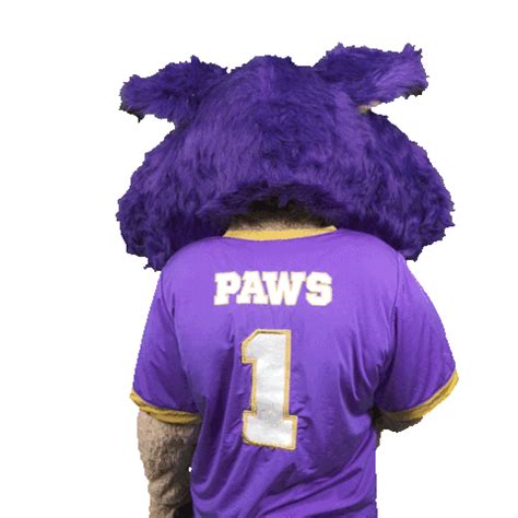 Paws Wcu Sticker By Western Carolina University For IOS Android GIPHY