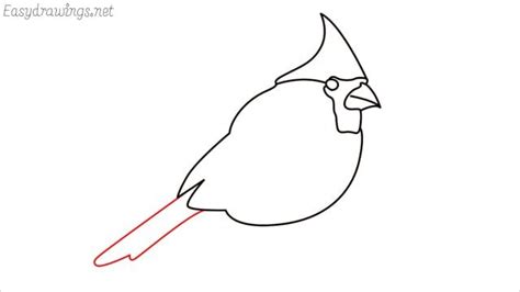 How To Draw A Cardinal Bird Step By Step For Beginners Drawing Birds