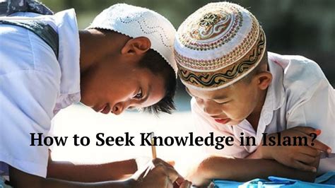 How To Start Seeking Knowledge In Islam Sunnah Insights