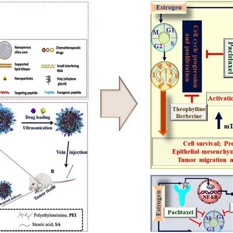 The Classical Example Of Nanocarrier Based Combinational Drug Delivery