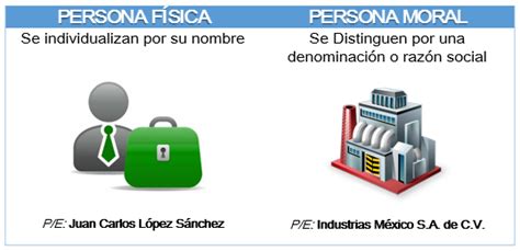 Diferencias Entre Personas Físicas Y Personas Morales 2024