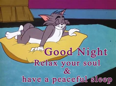 Pin By Janelle Andrade On Tom And Jerry Hannah Barbera Best Wishes