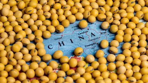 Wasde Shows China Importing Fewer Soybeans Southern Farm Network