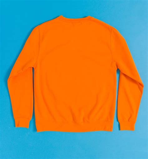 Pinky And The Brain Take Over The World Orange Sweater