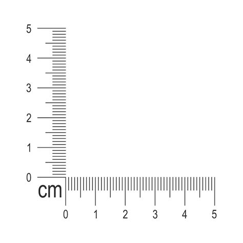 Premium Vector | 5 centimeter corner ruler template. Measuring tool with vertical and horizontal ...