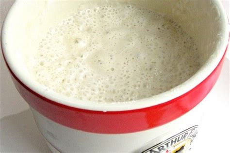 Non Commercial Yeast Sourdough Starter Recipe