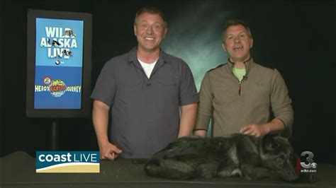 Inside The Kratt Brothers Alaskan Adventures On Coast Live