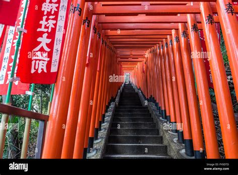 Torii path in Shinto Hie Shrine in Nagatacho district, Chiyoda special ...