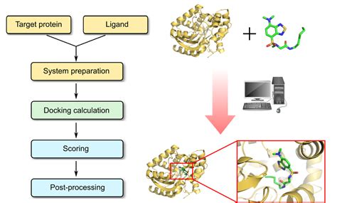 Protein Ligand Docking Biocode