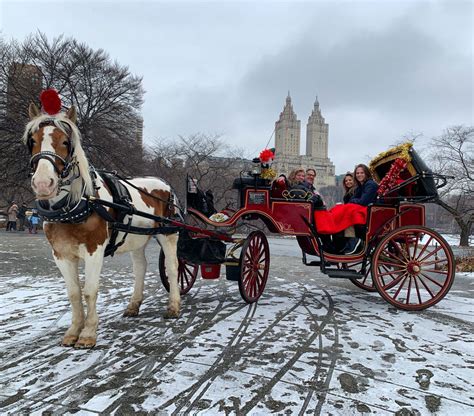 Central Park Horse Carriage Rides during Winter Season!