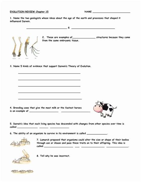 50 Types Of Evolution Worksheet