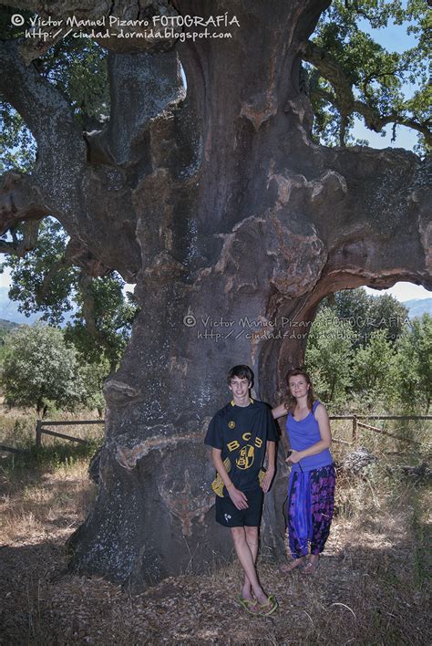 Ciudad dormida Árboles Singulares de Extremadura paseando entre