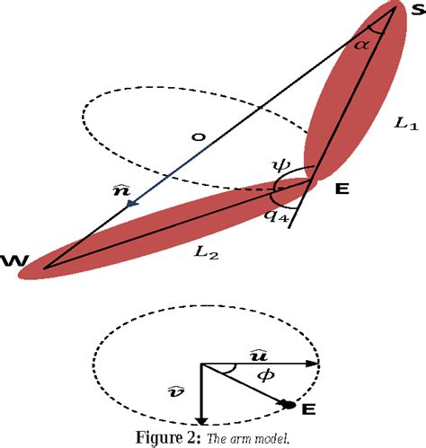 Figure 1 From Singularity Robust Inverse Kinematics For A Humanoid