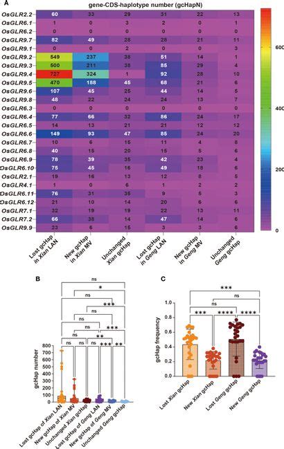 Frontiers Functional Characterization And Allelic Mining Of OsGLR