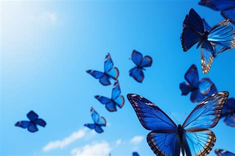 Premium Photo Blue Morpho Butterflies Flying In The Sky