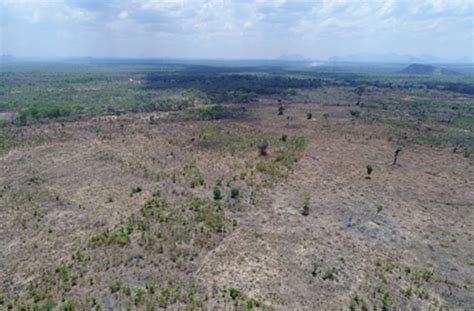 El Bosque Tropical Seco Pierde Millones De Hect Reas Este Siglo