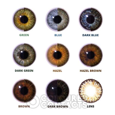 Tri Tone Natural Pure Hazel Colored Contact Lenses, Natural Dailies