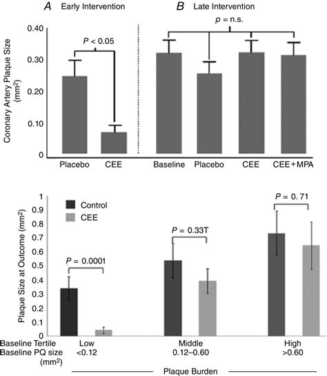 Sex Differences In Vascular Endothelial Function And Health In Humans Impacts Of Exercise