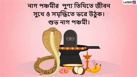 Nag Panchami 2022 নাগ পঞ্চমী তিথিতে সারা দেশে পালিত হবে নাগ পঞ্চমী