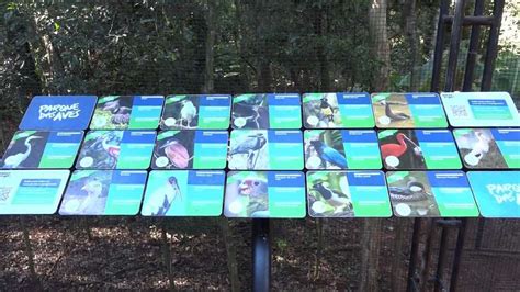 Viveiro do Parque das Aves é reinaugurado nesta quinta feira 11