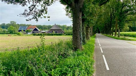 De Bevrijder Van De Boskamp En Olst Is Vandaag Jaar Oud Geworden