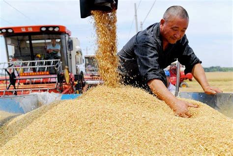 【中央財政再次向實際種糧農民發放一次性農資補貼】據財政部29日消息，中央財政近日下達資金100億元，再次向實際種糧農民發放一次性農資補貼，統籌